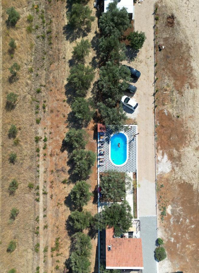 Apartments Olea Biograd Na Moru Dış mekan fotoğraf